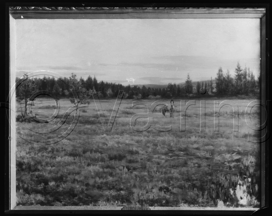 Glassplate og negativ film