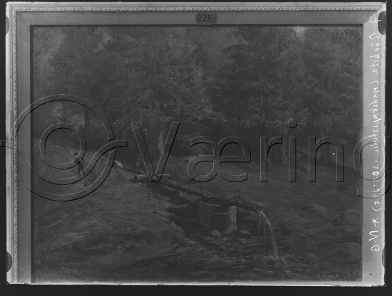 Glassplater og negativ film