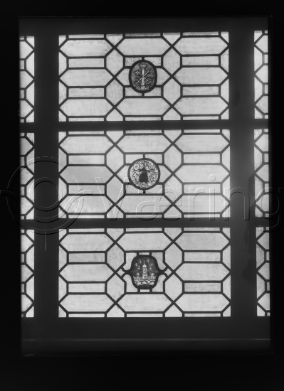 Glassplate og negativ film