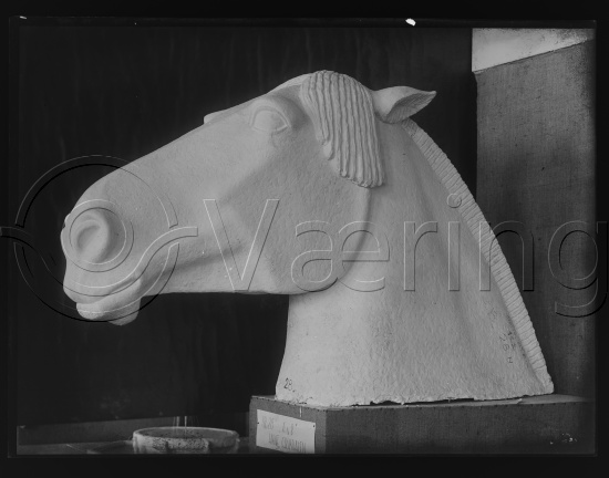 Glassplate og negativ bladfilm