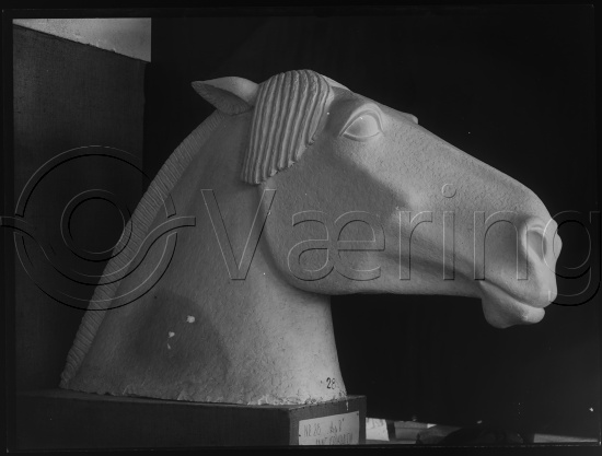 Glassplate og negativ bladfilm