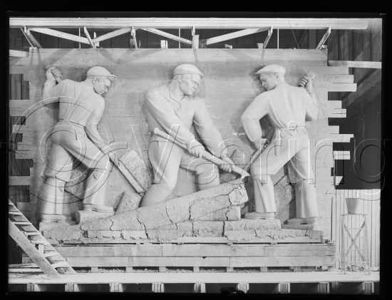 Glassplate og negativ bladfilm