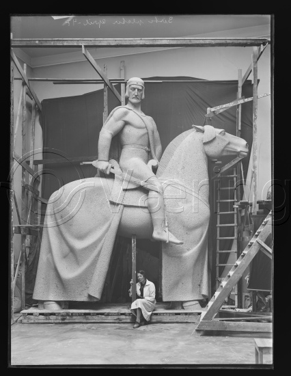 Glassplate og negativ bladfilm