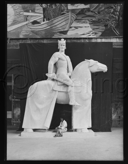 Glassplate og negativ bladfilm