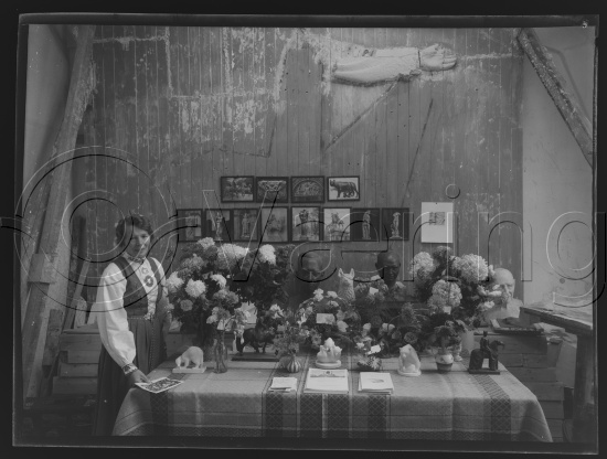 Glassplate og negativ bladfilm