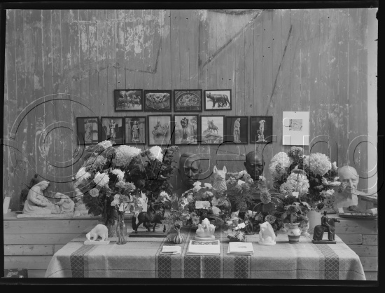 Glassplate og negativ bladfilm