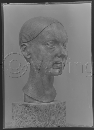 Glassplate og negativ bladfilm