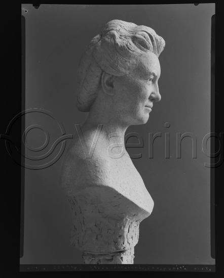 Glassplate og negativ bladfilm