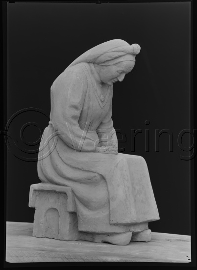 Glassplate og negativ bladfilm