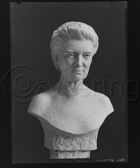 Glassplate og negativ bladfilm