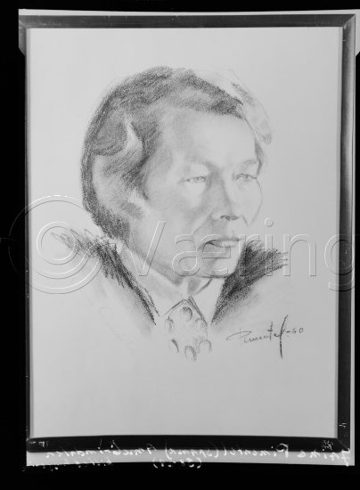 Glassplate og negativ bladfilm