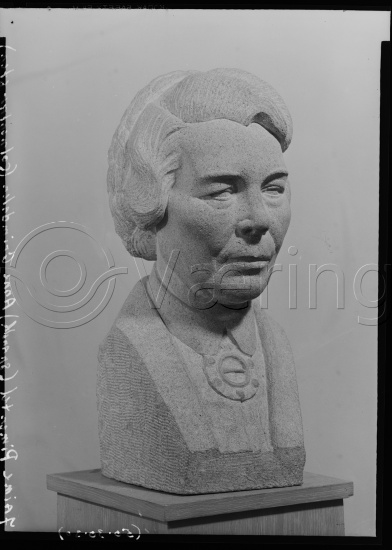 Glassplate og negativ bladfilm