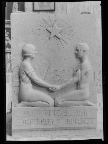 Glassplate og negativ bladfilm