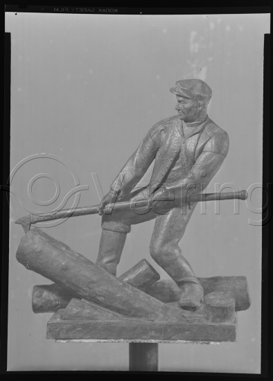 Glassplate og negativ bladfilm