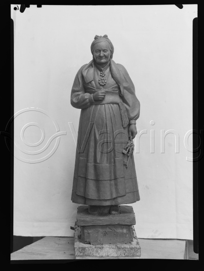 Glassplate og negativ bladfilm