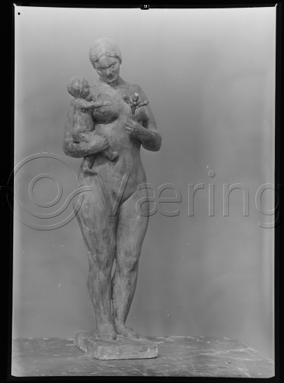 Glassplate og negativ bladfilm