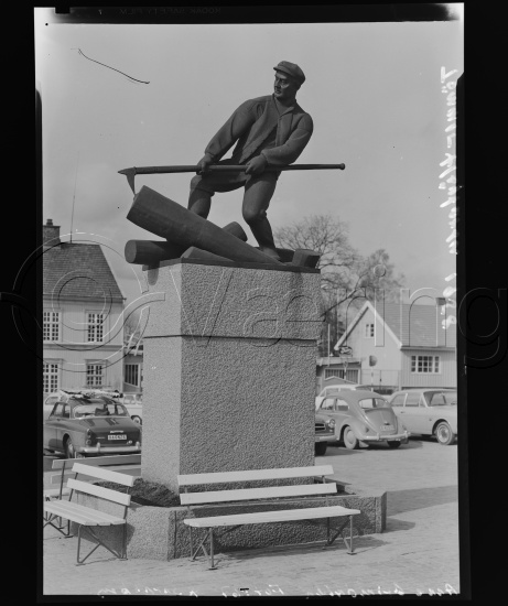 Glassplate og negativ bladfilm