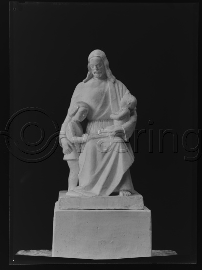 Glassplate og negativ bladfilm