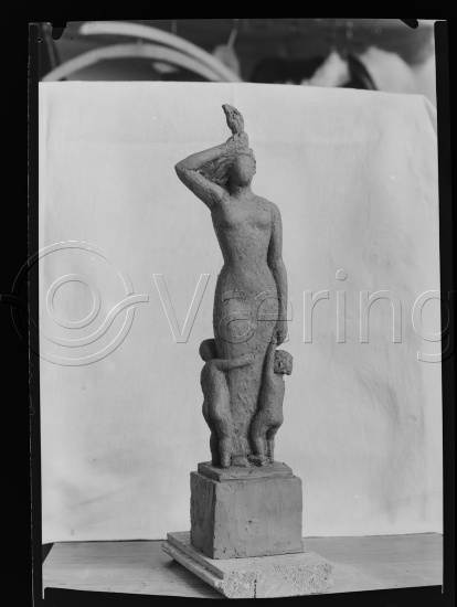 Glassplate og negativ bladfilm