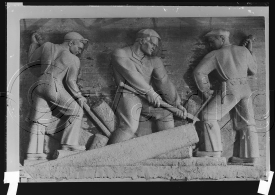 Glassplate og negativ bladfilm