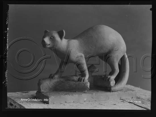 Glassplate og negativ bladfilm