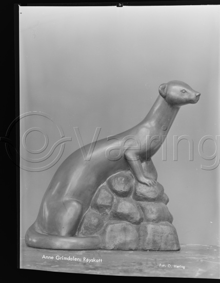 Glassplate og negativ bladfilm