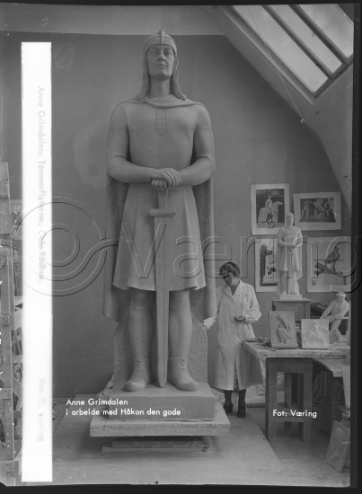 Glassplate og negativ bladfilm