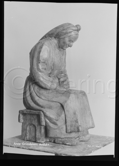 Glassplate og negativ bladfilm