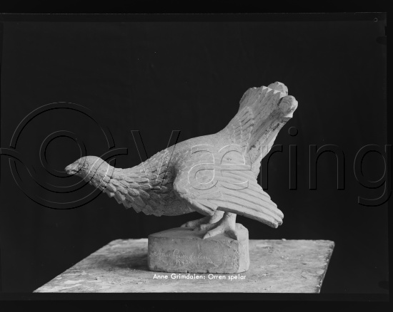 Glassplate og negativ bladfilm