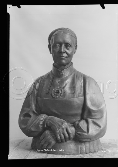 Glassplate og negativ bladfilm