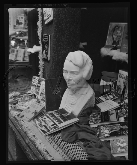 Glassplate og negativ bladfilm