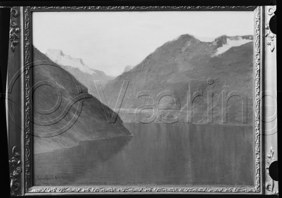 Glassplate og negativ film