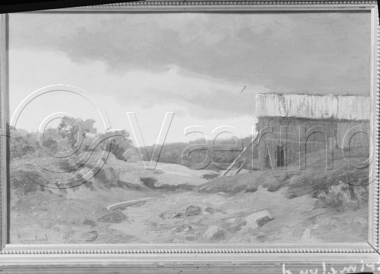 Glassplate og negativ film