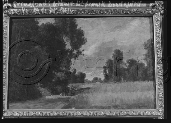 Glassplate og negativ film