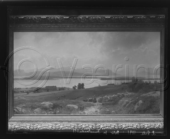 Glassplate og negativ film