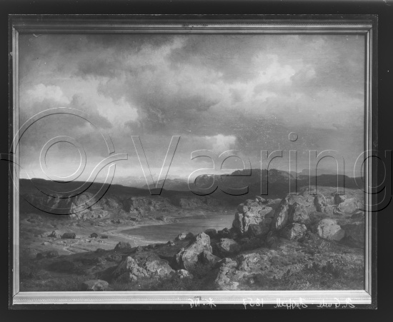Glassplate og negativ film
