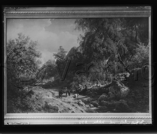 Glassplate og negativ film