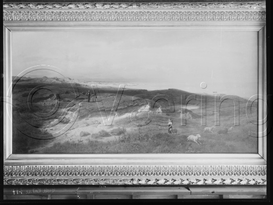 Glassplater og negativ film