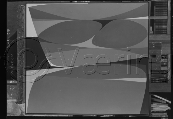 Glassplate og negativ film