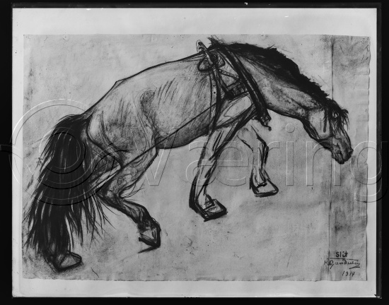 Glassplate og negativ film