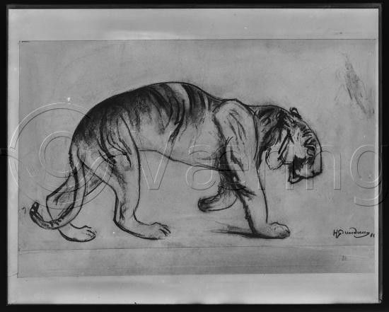 Glassplate og negativ film