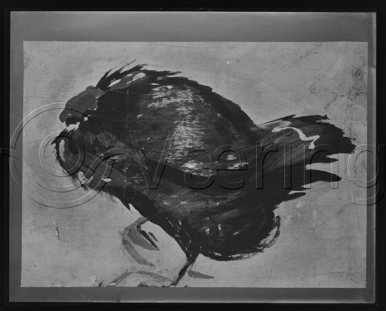 Glassplate og negativ film