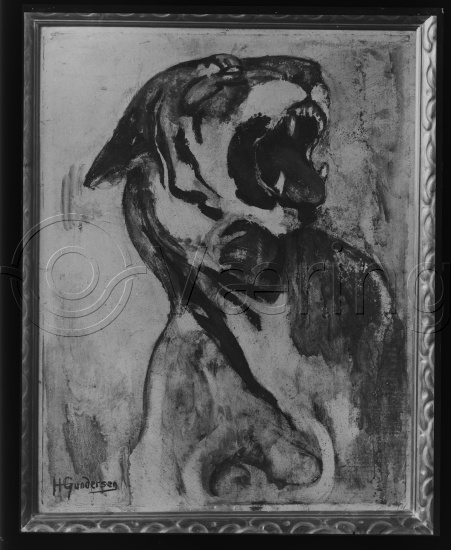 Glassplate og negativ film