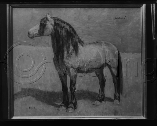 Glassplate og negativ film