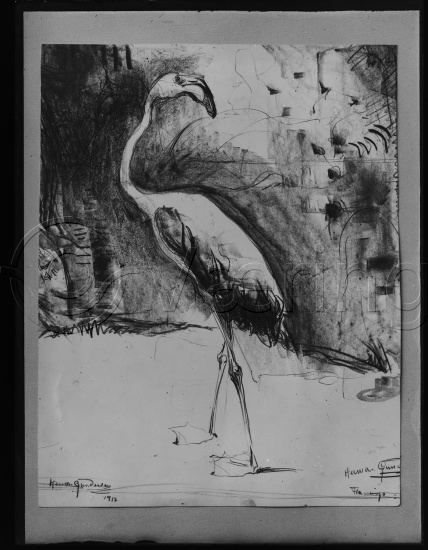 Glassplate og negativ film