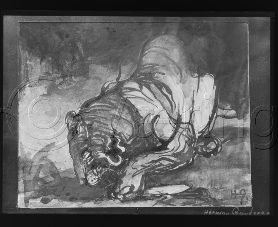 Glassplate og negativ film