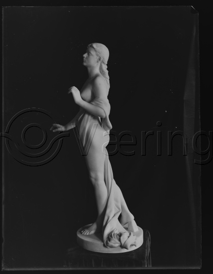 Glassplate og negativ film