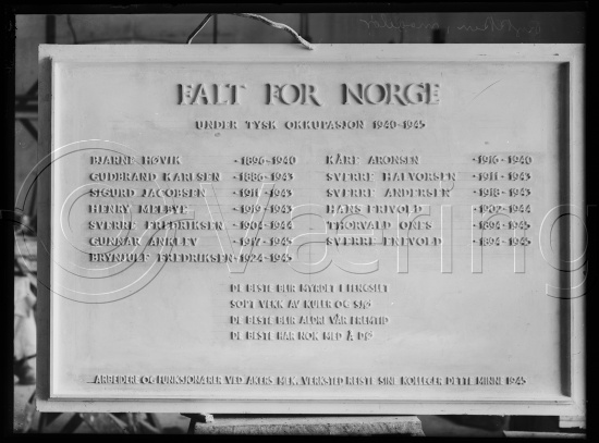 Glassplate og negativ film