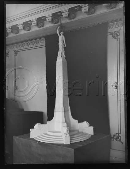 Glassplate og negativ film