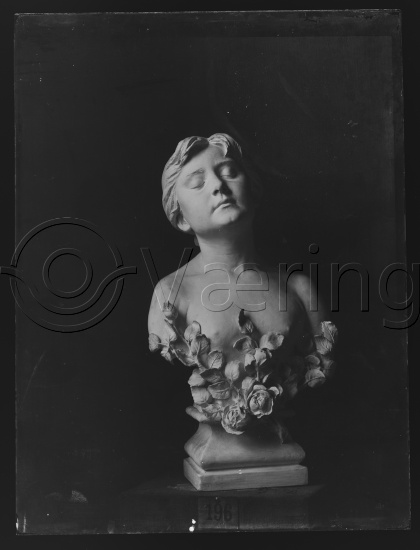 Glassplate og negativ film